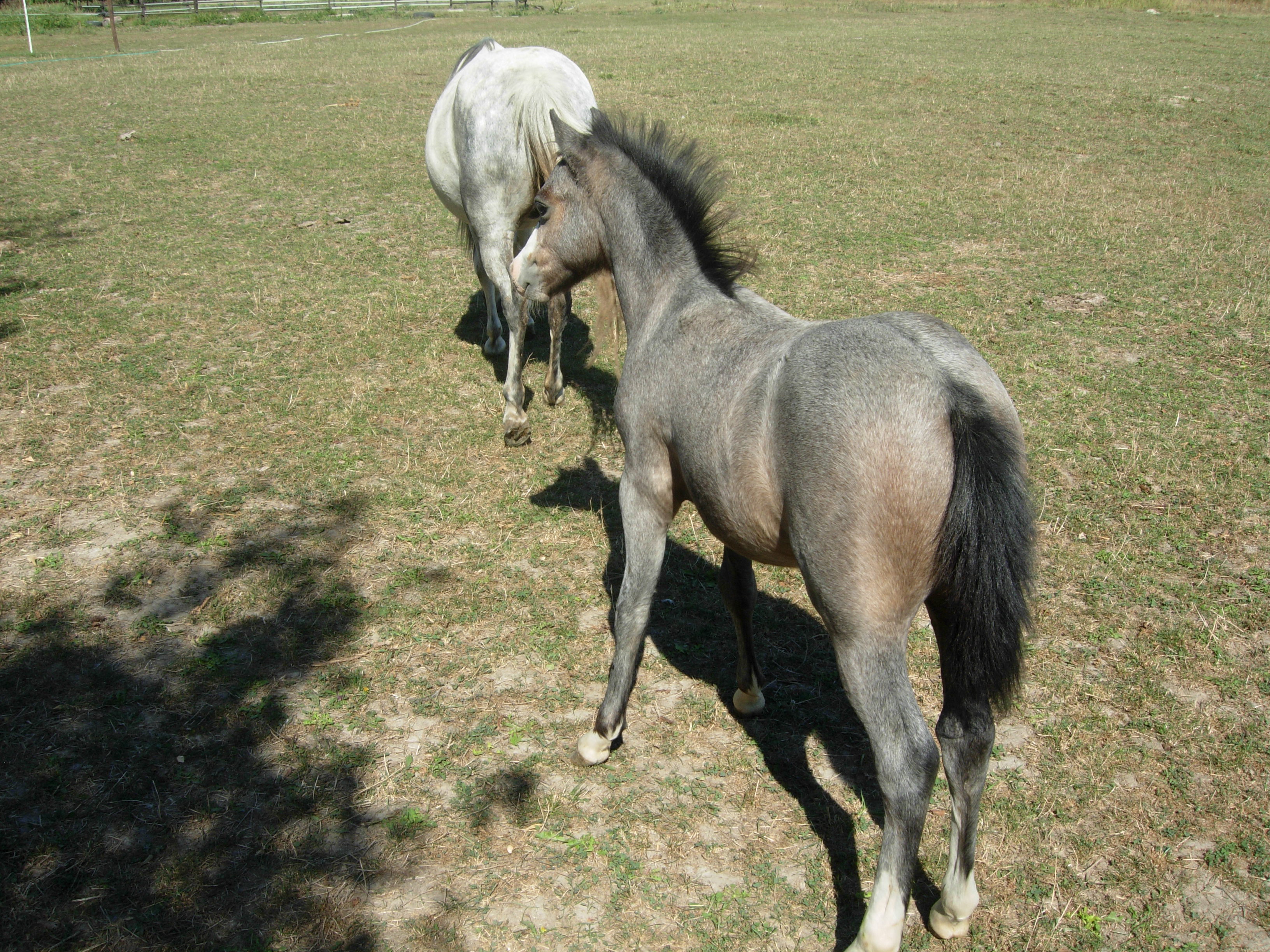 DSCN2943