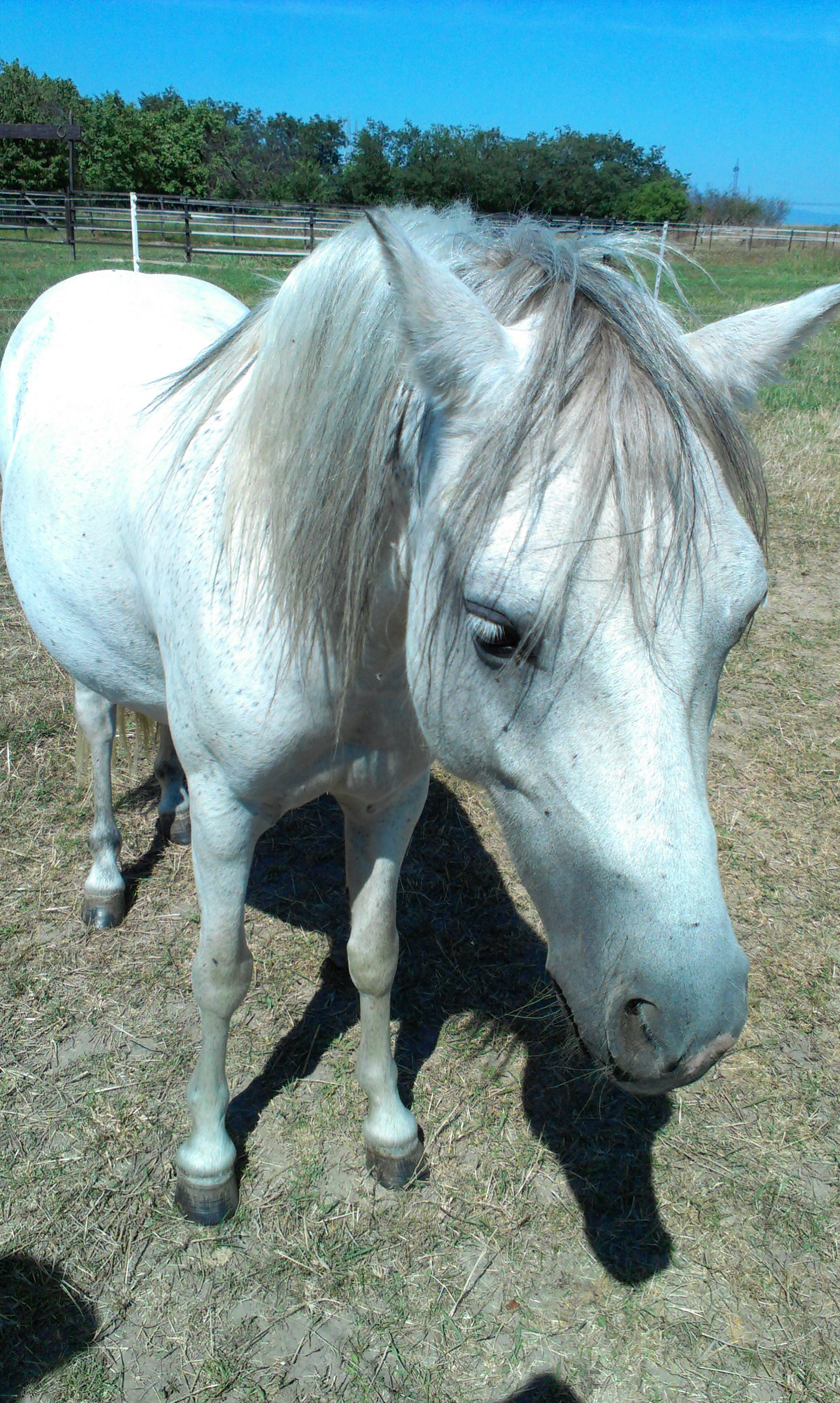 IMAG0868