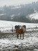 IMG_20180127_110332
