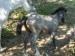DSCN2942