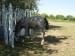 DSCN2944